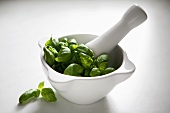 Fresh basil in mortar with pestle