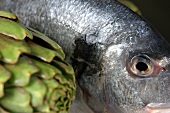 A sea bream with artichoke