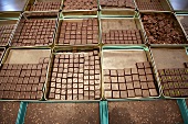 Various types of chocolates