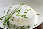 Saint-Marcellin (soft cow's milk cheese from France)
