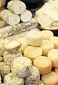 An assortment of raw milk cheeses on sales counter