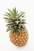 A plant-ripened pineapple