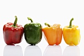 Peppers (four different colours)