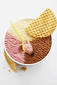 Neapolitan ice cream in tub