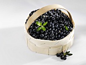 Fresh blueberries in a small basket