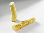 Two bamboo shoots