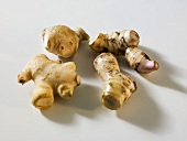 Ginger and galangal roots