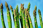 Green asparagus