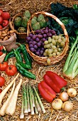 Geerntetes Gemüse und Obst