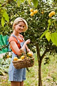Blonde woman with basket of fresh lemons (outside)