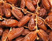 Lots of dried dates (filling the image)