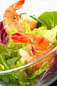 Salad leaves with prawns (close-up)