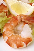 Prawns with lemon and lettuce (close-up)