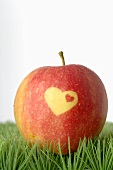 Red apple with heart in grass