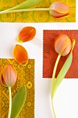 Tulips on different pieces of fabric
