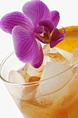 Screwdriver (Orange juice and vodka cocktail)