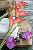 Helikonien mit Handtüchern und Orchideenblüten