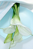 White calla lilies on plate