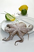 Octopus, lemons and limes