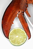 Lobster claw and slice of lime