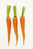 Drei Karotten