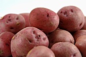 Mehrere rote Kartoffeln