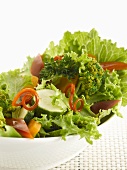 Gemischter Salat mit Blattsalat, Zucchini, Paprika