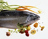 Salmon trout with vegetables