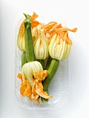 Courgettes with flowers in plastic tray