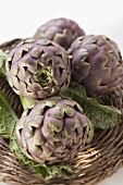 Artichokes in basket