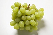 Green grapes