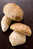 Two ceps on dark wooden background