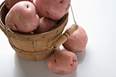 Red potatoes in and beside woodchip basket