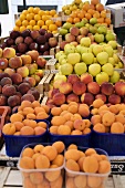 Obststand mit Aprikosen, Pfirsichen, Äpfeln, Orangen