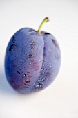 A plum with drops of water