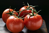 Four tomatoes on the vine with drops of water