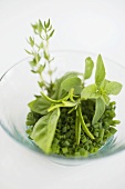 Assorted herbs in glass bowl