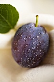 Plum with drops of water and leaf