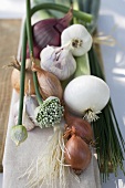 Onions, chives and garlic chives