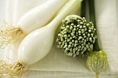 Spring onions and garlic chives