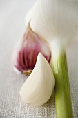 Cloves of garlic and fresh garlic bulb