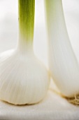 Fresh garlic and spring onion (detail)