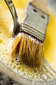 Egg yolk with pastry brush and fork (close-up)