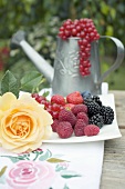 Fresh berries on plate, redcurrants in watering can