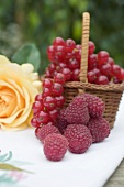 Raspberries, redcurrants in basket & yellow rose on table