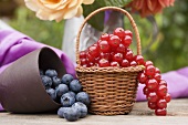 Blueberries in beaker and redcurrants in basket on table