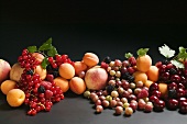 Fruit still life with stone-fruit, berries and leaves