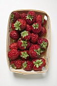 Fresh strawberries in woodchip basket