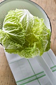 Fresh Chinese cabbage in colander