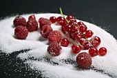 Raspberries and redcurrants on sugar